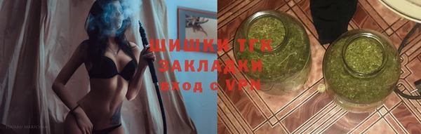 мдпв Михайлов