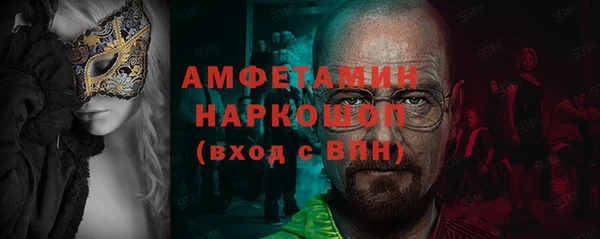 гидра Надым
