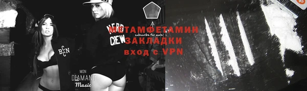 мдпв Михайлов