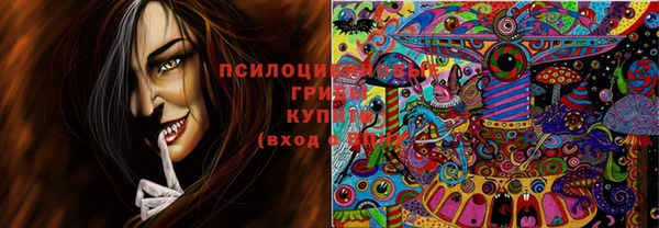 мдпв Михайлов