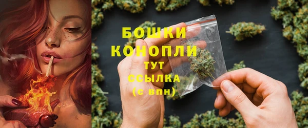 мдпв Михайлов