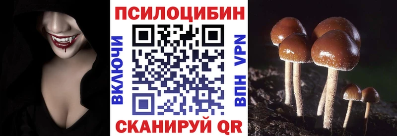 Псилоцибиновые грибы MAGIC MUSHROOMS  Подпорожье 